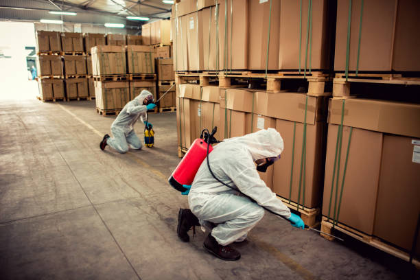 Best Residential Pest Control  in Apex, NC