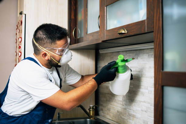 Best Flea Control Services  in Apex, NC