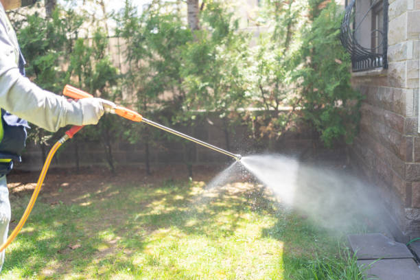 Best Best Pest Control Companies  in Apex, NC