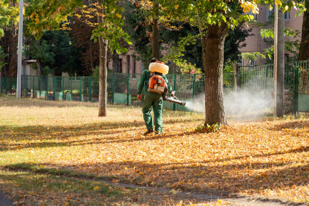  Apex, NC Pest Control Pros